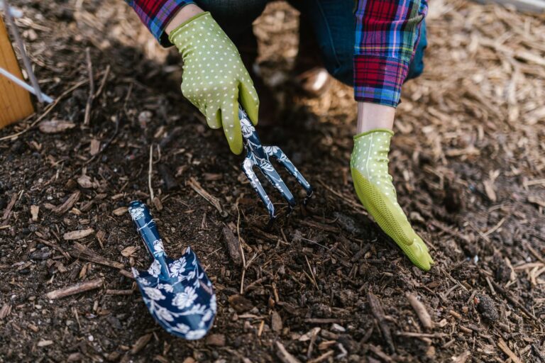 From Soil to Soul: How to Design a Permaculture Garden for Maximum Grounding Benefits - GroundingE