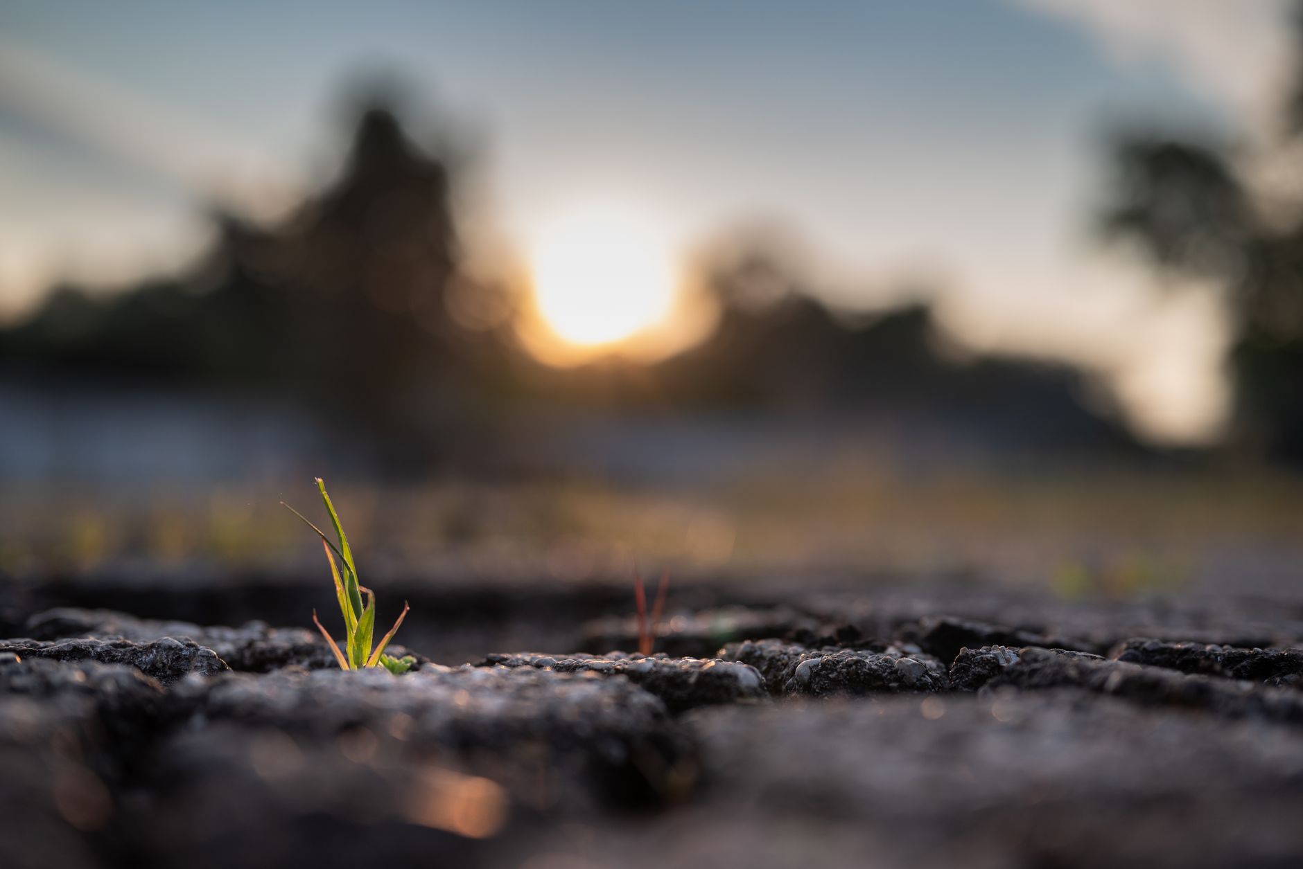 Exercise 7: Morning Sunlight & Evening Grounding Combo — Grounding Exercises for Better Sleep: A Step-by-Step Guide