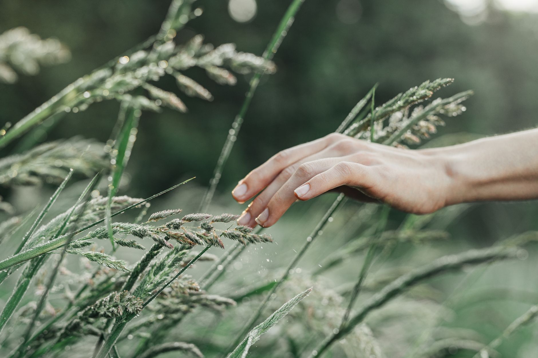 Week 4: Full Integration and Advanced Techniques (Days 22–30) — How to Start Grounding in 2026: A 30-Day Beginner Practice Plan